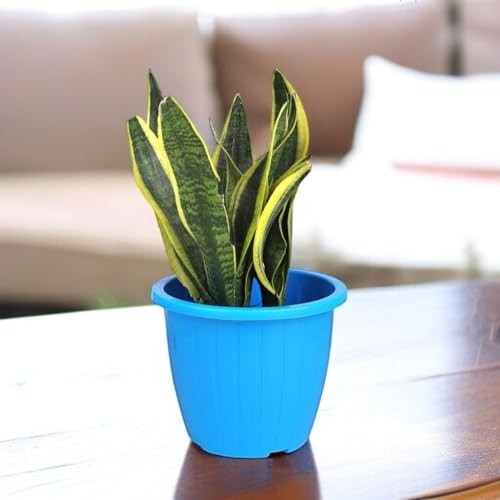 GoHooked blue plastic Duro flower pot, 10 inch, ideal for indoor/outdoor gardening.