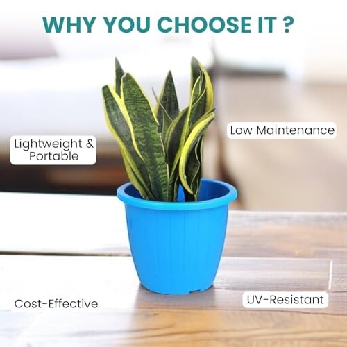 GoHooked blue plastic Duro flower pot, 10 inch, UV-resistant, lightweight, and cost-effective for indoor/outdoor gardening.