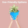 GoHooked blue 10-inch durable plastic flower pot with a plant, held by two hands against a pink background.