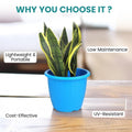 GoHooked blue plastic Duro flower pot, 10 inch, lightweight, portable, low maintenance, UV-resistant, cost-effective.