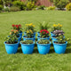 12 Pack Blue Plastic Planters For Outdoor Gardening