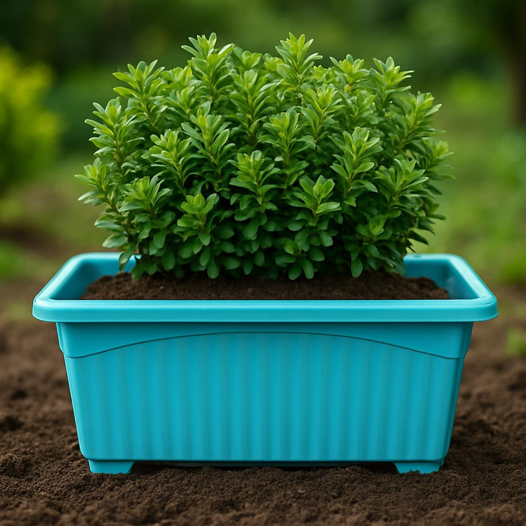 GoHooked blue rectangular plastic plant pot with fluted sides, holding a green bush.