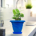 GoHooked blue plastic planter pot with saucer, 6 inch twister design, perfect for indoor or outdoor plants.