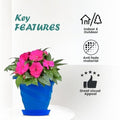 GoHooked blue plastic planter pot with saucer, featuring a modern twister design and pink impatiens flowers. Suitable for indoor/outdoor use.