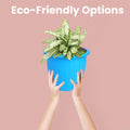 GoHooked blue plastic planter pot with a green and white plant, held by two hands against a pink background.
