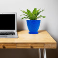GoHooked blue diamond-patterned plastic planter pot with saucer on a wooden desk next to a laptop.