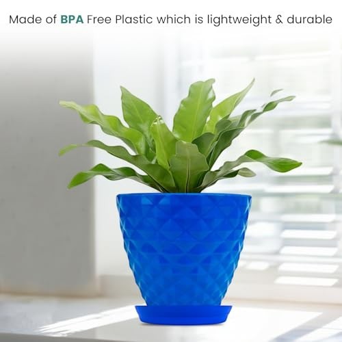 GoHooked blue plastic planter pot with geometric pattern and matching saucer, holding a green plant.