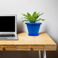 GoHooked blue plastic planter pot with saucer, 6 inch Zenith model, ideal for indoor/outdoor plants.