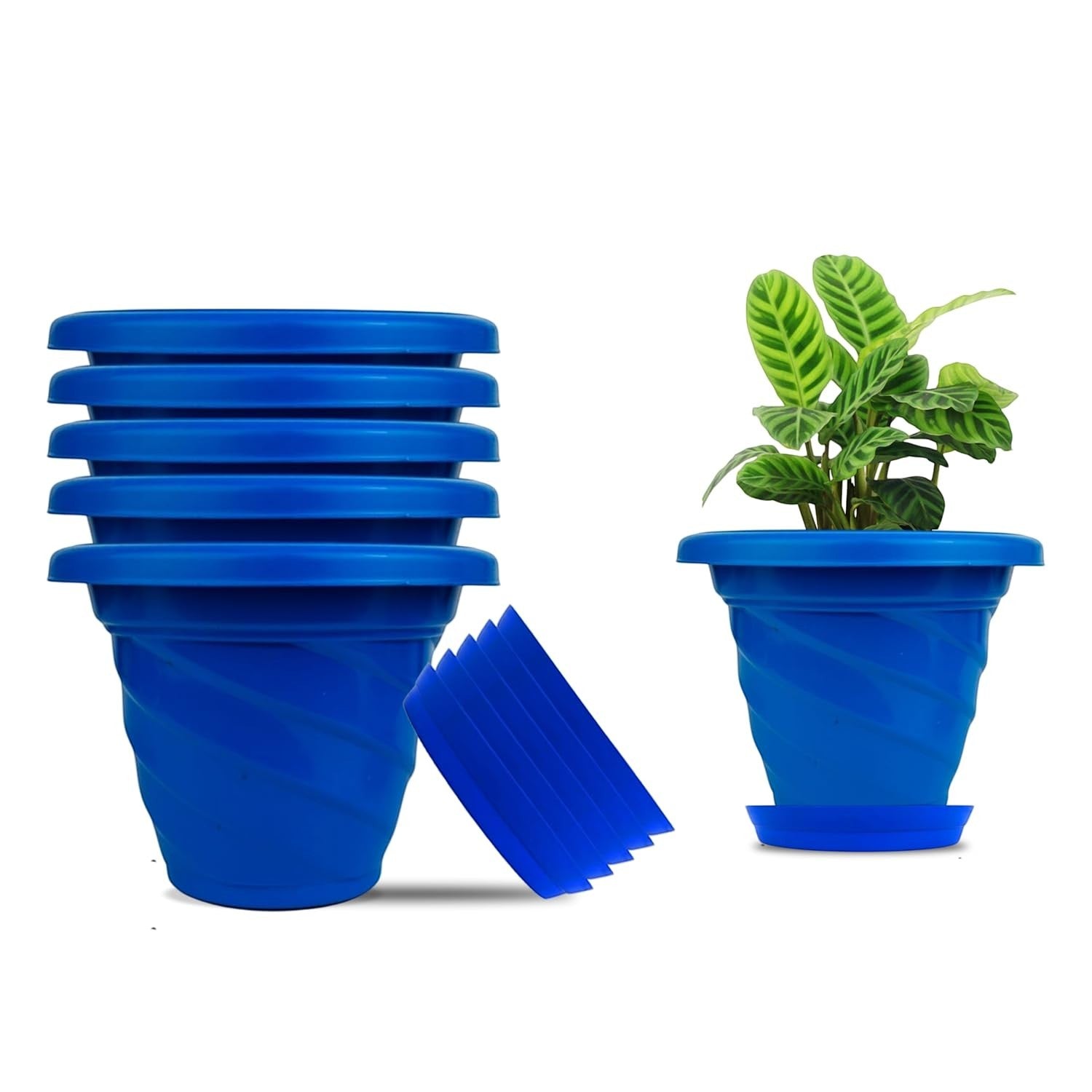 GoHooked blue plastic planter pots set of 6 with saucers, one pot with a plant. Modern design.