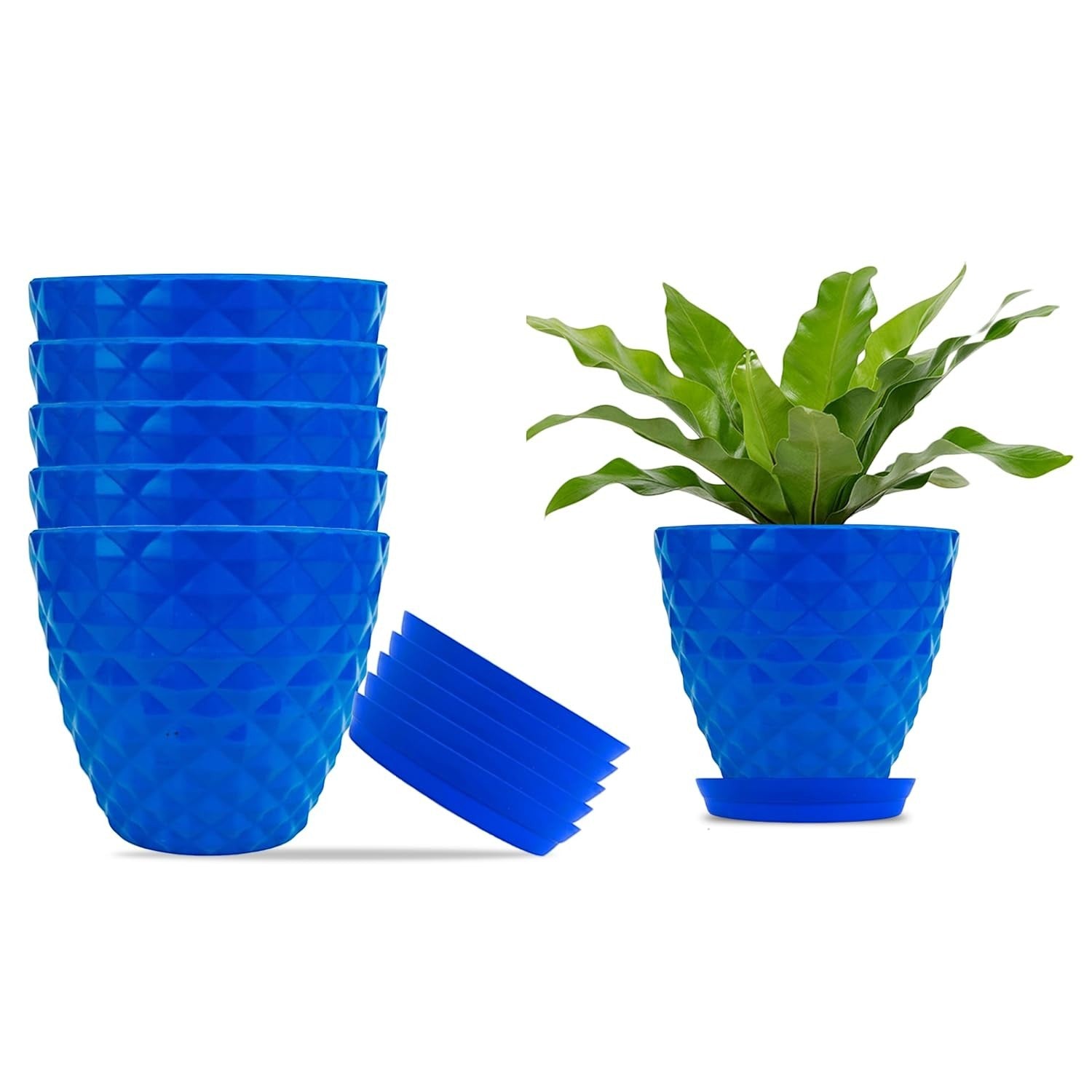 GoHooked set of 6 blue diamond-patterned plastic planter pots with saucers, one pot shown with a plant.