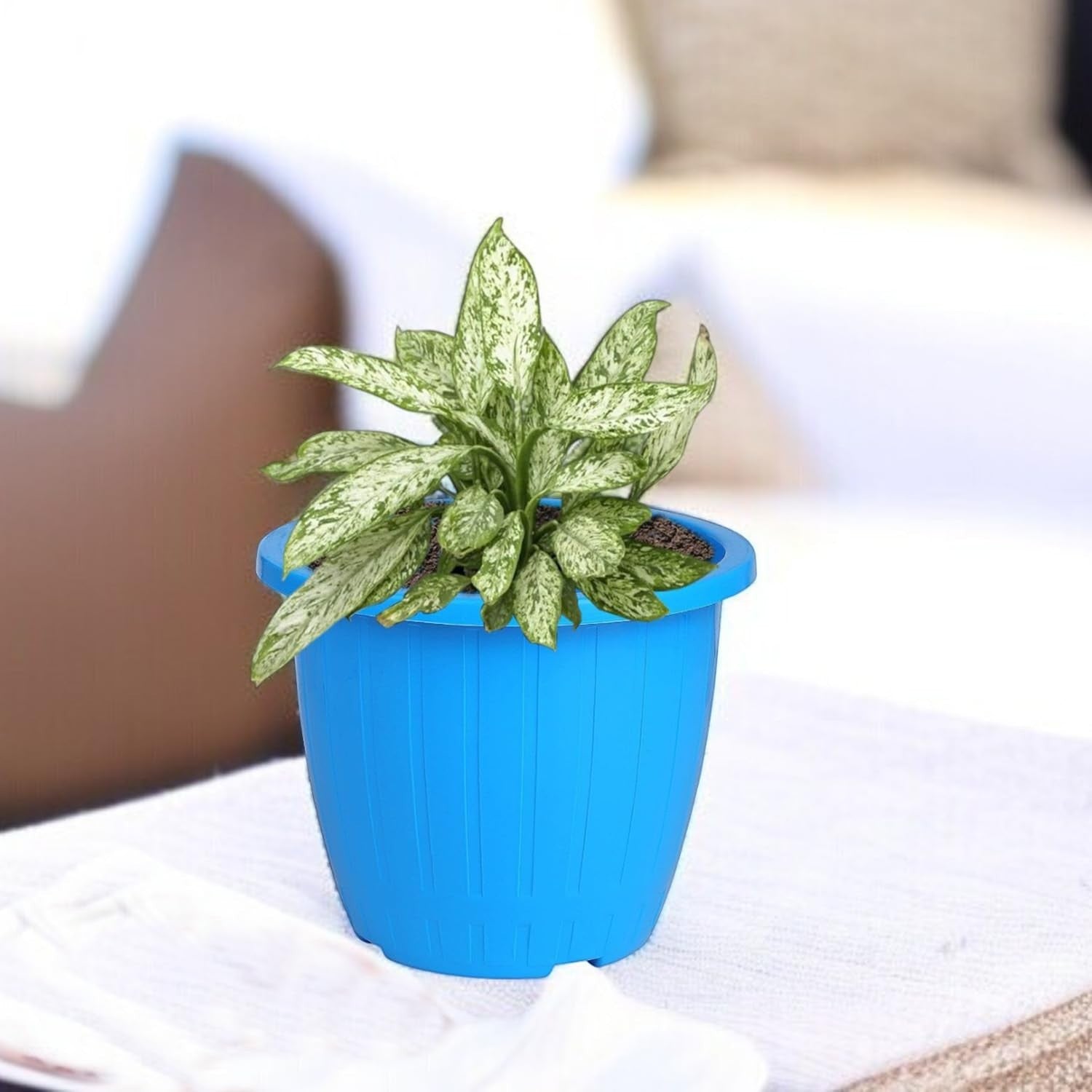 GoHooked blue plastic planter with a variegated green and white plant. Ideal for indoor or outdoor decor.