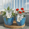 GoHooked blue plastic planters with white bows and gift tags, holding a fern and red flowers.