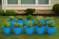 Go Hooked 10-inch blue plastic planters with various herbs and plants, perfect for indoor/outdoor gardening.