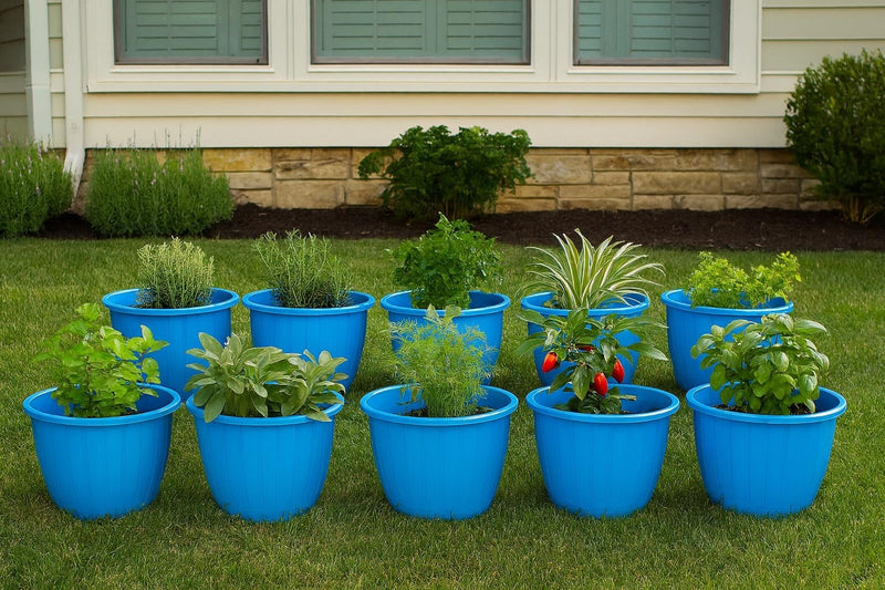 Go Hooked 10-inch blue plastic planters with various herbs and plants, perfect for indoor/outdoor gardening.