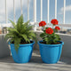 Go Hooked Sunshine Flower Pot/Planters for Home Decor, Plastic Pots for Gardening/Home, Flower Pots Indoor-Outdoor & Planter for Plants (Blue) (Pack of 2)