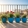 GoHooked pack of 4 blue plastic planters with red geraniums, lavender, and succulents on a balcony at sunset.