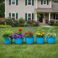 Go Hooked 10-inch blue plastic planters with various flowers on a lawn in front of a house.