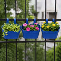 GoHooked set of 3 blue plastic railing hanging planters with double hooks, holding green plants, pink flowers, and yellow flowers.