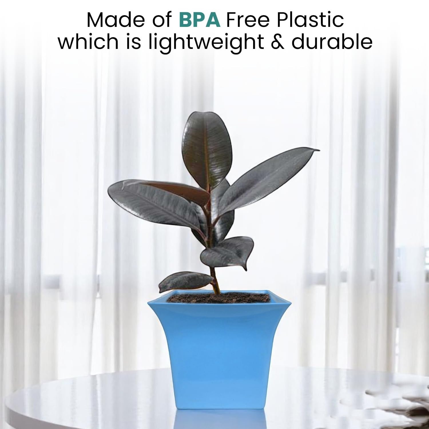 GoHooked blue square plastic planter pot holding a small rubber plant on a white table indoors