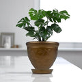GoHooked bronze plastic planter pot with embossed floral design and matching saucer, holding a Monstera plant.
