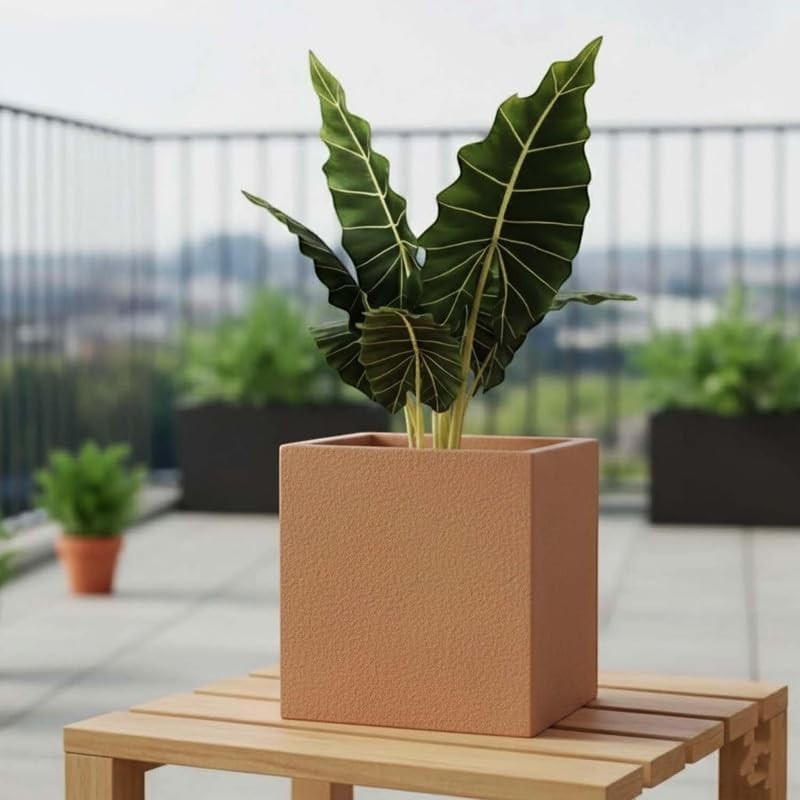 Go Hooked 10-inch brown polymer cube planter with a textured finish, featuring a large plant with green leaves and white veins.