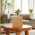 GoHooked brown polymer cube planter with a small green plant, 8-inch modern design for home or office.