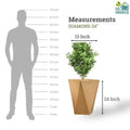 GoHooked brown diamond textured 24-inch polymer planter pot with a plant. Shows scale against a silhouette.