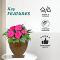 GoHooked brown plastic planter pot with embossed dragonfly design and pink flowers, includes matching saucer. Indoor/outdoor use.