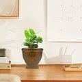 Go Hooked brown plastic planter pot with embossed floral design and saucer, holding a green plant.