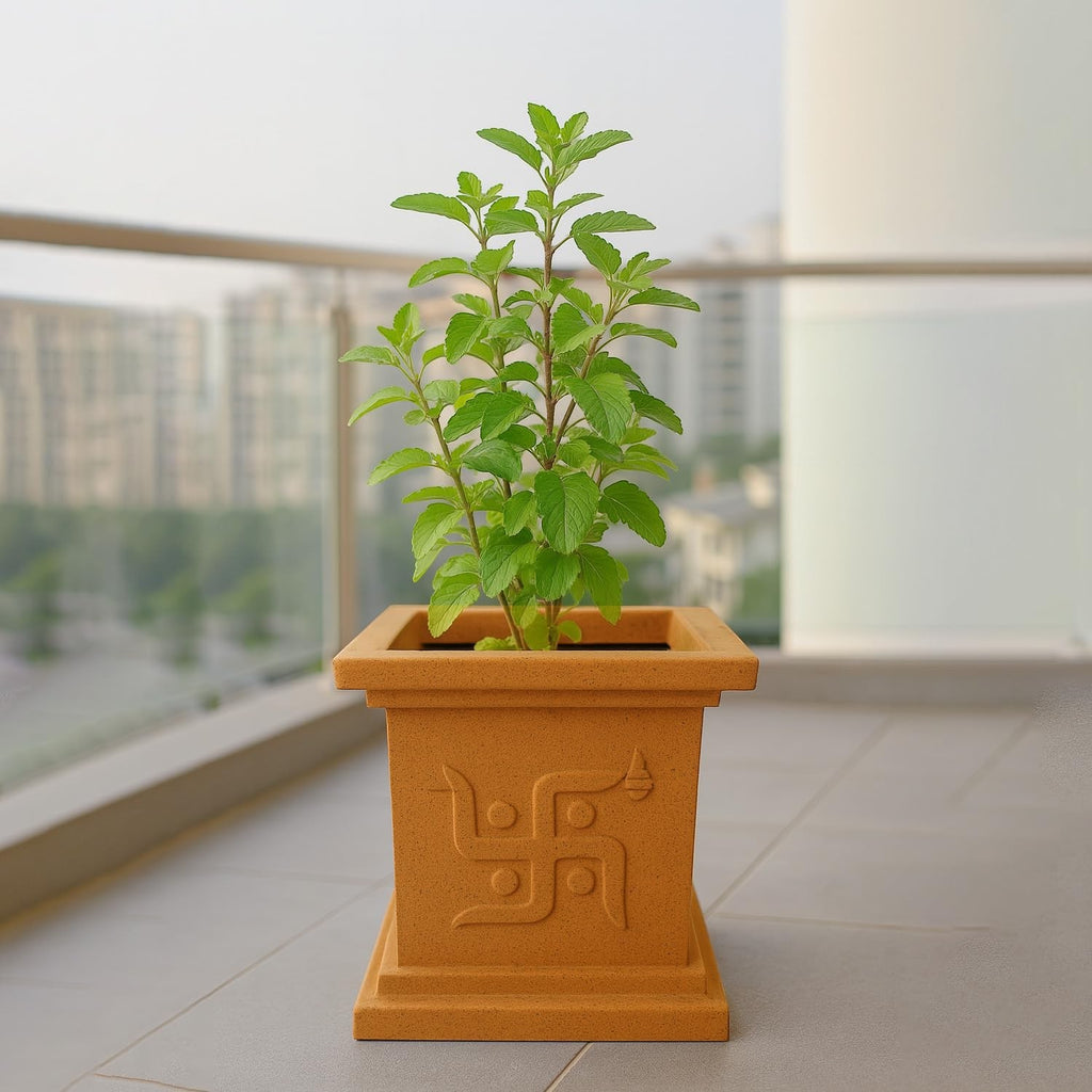 GoHooked traditional brown plastic 9-inch square Tulsi pot with Om & Swastik design, perfect for home temple or balcony.