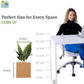 Go Hooked 10-inch brown polymer cube planter with a plant, perfect for indoor/outdoor gardening.