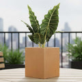 GoHooked 12-inch brown polymer cube planter with drainage hole, perfect for indoor/outdoor gardening.