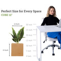 GoHooked 12-inch brown polymer cube planter with a large green plant inside, perfect for indoor/outdoor use.