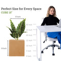 GoHooked 15-inch brown polymer cube planter with a large green plant. Perfect for indoor/outdoor use.