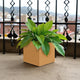 Go Hooked Cube 8 Inch Modern Flower Planter Pot – Decorative Flower Container for Home, Office & Balcony Décor – Lightweight, Durable Square Pot for Indoor & Outdoor Use (Brown)