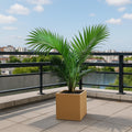 GoHooked 8-inch modern brown polymer cube planter with a palm plant on a tiled balcony.
