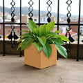 GoHooked 8-inch modern brown polymer cube planter with a green plant on a balcony.