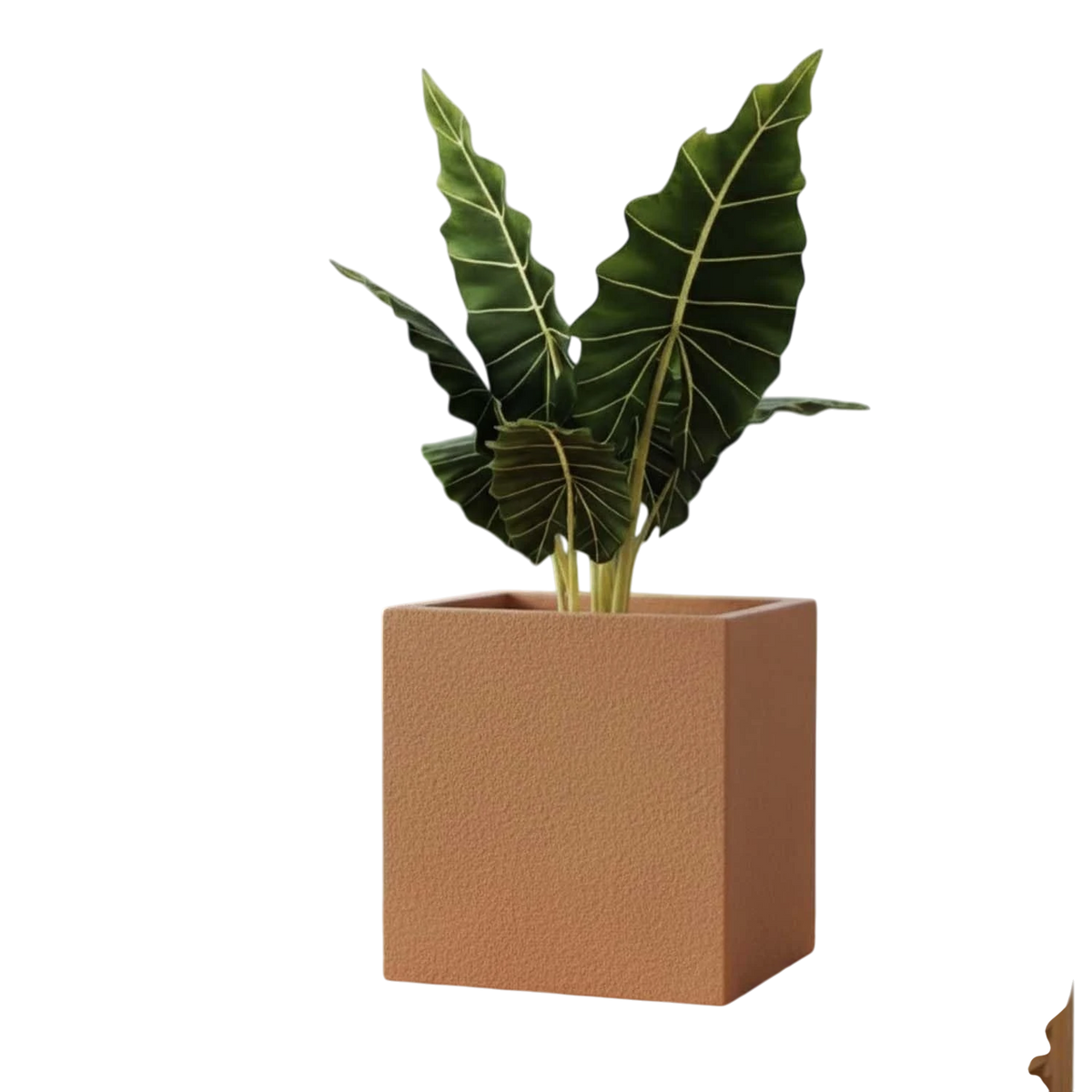 Go Hooked Home Decor Planter 12 Inch for Home & Office | Modern Indoor Planter for Living Room, Bedroom & Balcony | Decorative Planter Perfect for Artificial & Live Plants (Cube, Brown)