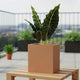 Go Hooked Home Decor Planter 10 Inch for Home & Office | Modern Indoor Planter for Living Room, Bedroom & Balcony | Decorative Planter Perfect for Artificial & Live Plants (Cube, Brown)