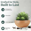 Go Hooked brown polymer lotus bowl planter with a green succulent plant. Weather-resistant and lightweight.