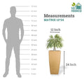 Go Hooked brown 24-inch tall polymer planter with a 12-inch width, shown next to a life-size silhouette for scale.