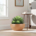GoHooked brown polymer lotus bowl planter with drainage option, 25 inch, holding a succulent plant indoors.