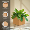 GoHooked 8-inch modern brown polymer cube planter with ergonomic grip and customizable drainage.