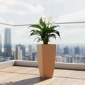 GoHooked brown polymer square planter with a peace lily plant on a balcony with city view.