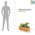 GoHooked brown polymer rectangular planter pot, 21x8 inches, with plants. Shows scale against a human silhouette.