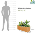 GoHooked brown polymer rectangular planter pot, 24x10 inches, with plants. Scale diagram shows size comparison to a person.