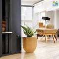 Go Hooked 12-inch brown polymer planter pot with horizontal ribbed texture, holding a snake plant indoors.