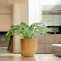 GoHooked 12-inch brown polymer planter pot with ribbed texture and drainage hole, holding a lush green plant.