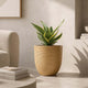 Go Hooked 12-Inch Milano Large Planter Pot | UV Resistant, Lightweight Polymer Pot for Indoor & Outdoor Plants | Stylish Decorative Pot for Balcony, Garden, Terrace & Home Decor - Brown