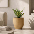 GoHooked 18-inch brown polymer planter pot with a ribbed texture, holding a snake plant indoors.